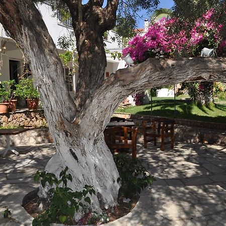 Villa Martha Spetses Town Extérieur photo